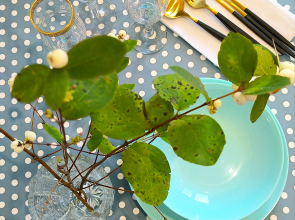 Квартира Красочная Kravc Group