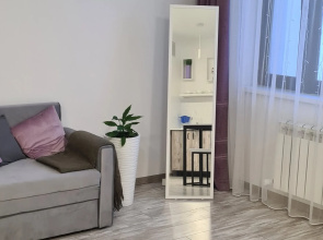 Vid Na Volgu Tsentr Apartments