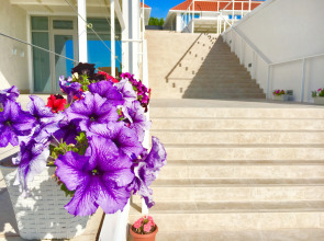 Отель Villa Capri