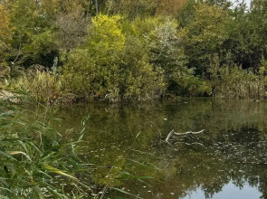 Гостевой дом у озера