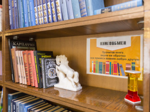 Апартаменты двухкомнатные в центре на ул.Горького 152. Сова-Дом