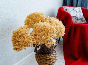 Квартира на главной площади города рядом с парком и достопримечательностями Уфы