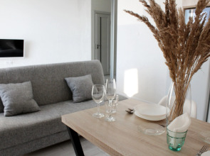 Квартира - студия 30м2  рядом с Монументом Дружбы