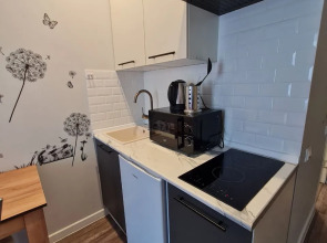 Квартира Лиговский 56Е/5