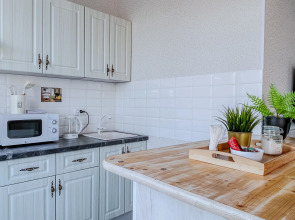 Квартира студия Green FOX в центре города