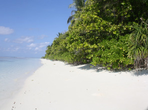 Отель Boutique Beach All Inclusive Diving