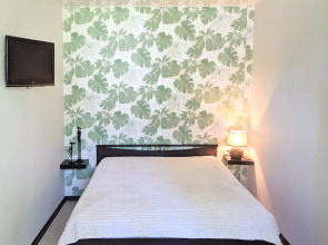 Квартира двухкомнатная в 5 минутах от Кремля