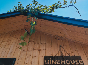 Частный дом Winehouse