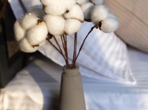 Отель ESENIN-LocuS