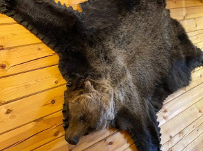 Гостевой Дом БОР'ок