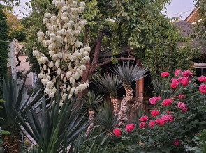 Гостевой Дом Янаки