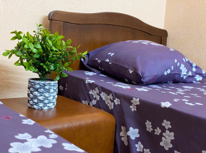 Гостевой дом Сакля