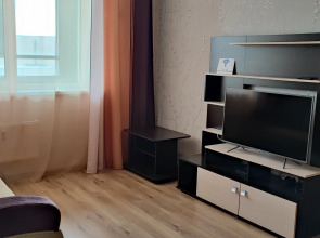 Квартира ArendApartment Graf Orlov 58