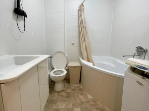 Апартаменты Лес и Шишки