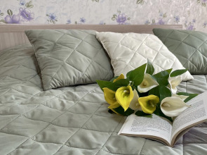 Квартира ТутУютно на Волотовской «Нежный Ирис»