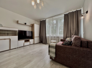 Uyutnaya odnushechka na Nemige Apartments