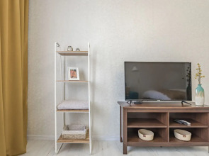 Апартаменты однокомнатные на ул.Бурнаковской 81, м.Сова-Дом