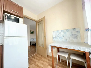 Квартира однокомнатная в центре на Дарвина