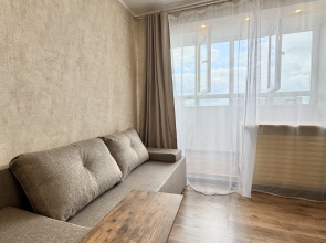 Квартира Zeninapart