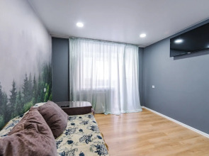 Квартира Амурская 69