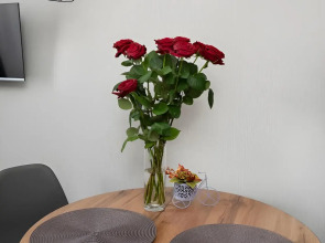 Квартира Губернский в Краснодаре