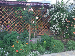 Гостевой дом Дуэт