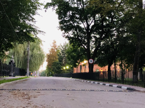 Квартира уютная с видом на Платоновский парк