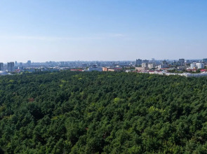 Апартаменты Облако над парком