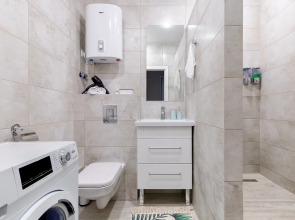 Квартира 1-комнатная Манго