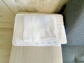 Квартира Скандинавия