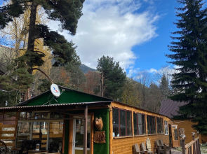Recreation Camp Taiga Dom