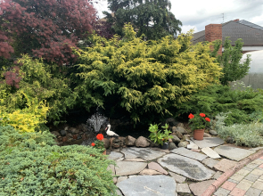 Гостевой дом Белый Лебедь