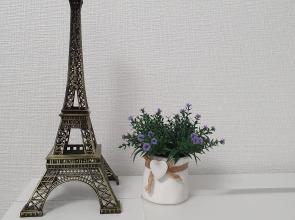 Апартаменты Хочу В Париж