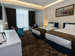 Отель Garnet Mir