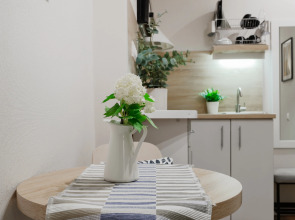 Апартаменты Монохромная Красноармейская