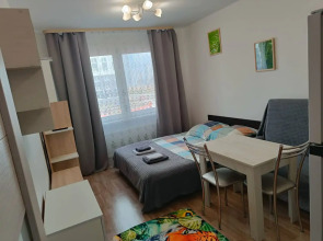 Квартира на улице Муринская дорога 27/2