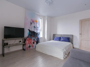 Квартира Larinstay