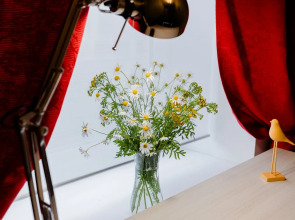 Апартаменты Двухкомнатные на Чапаева 19