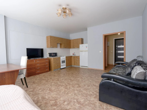 Na Chernyshevskogo Flat
