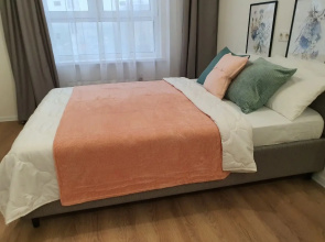 Apartamenty RemiAparts ZK Samolet