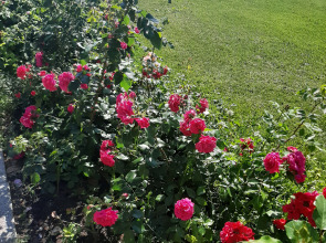 Квартира Lakhta classic orange apartments