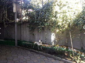 Гостевой дом Даниэлла