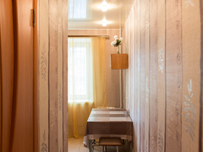 Апартаменты на улице Карла Либкнехта 7