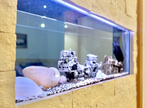 Апартаменты Шикарные апартаменты в нулевом километре Минска с 24/7 заселением