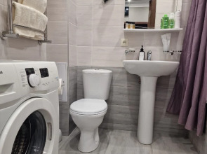 Апартаменты Flatirini в районе Чиба