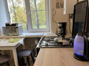 Квартира на Некрасова с Видом на Музей