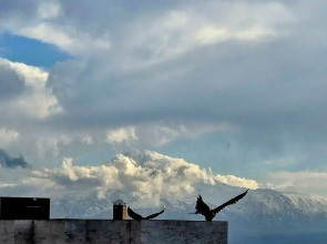 Caribian Hotel Yerevan