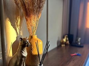 Апартаменты Комфорт в ЖК Волга Парк