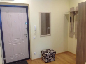 Апартаменты Apartmet on Chapaeva Ecostyle