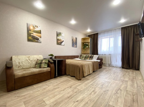 V Tsentre Zasviyazhskogo Rayona 21 Apartments